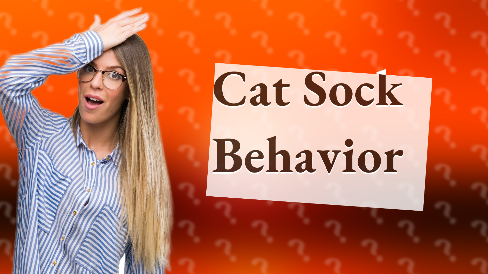Cat Sock Behavior