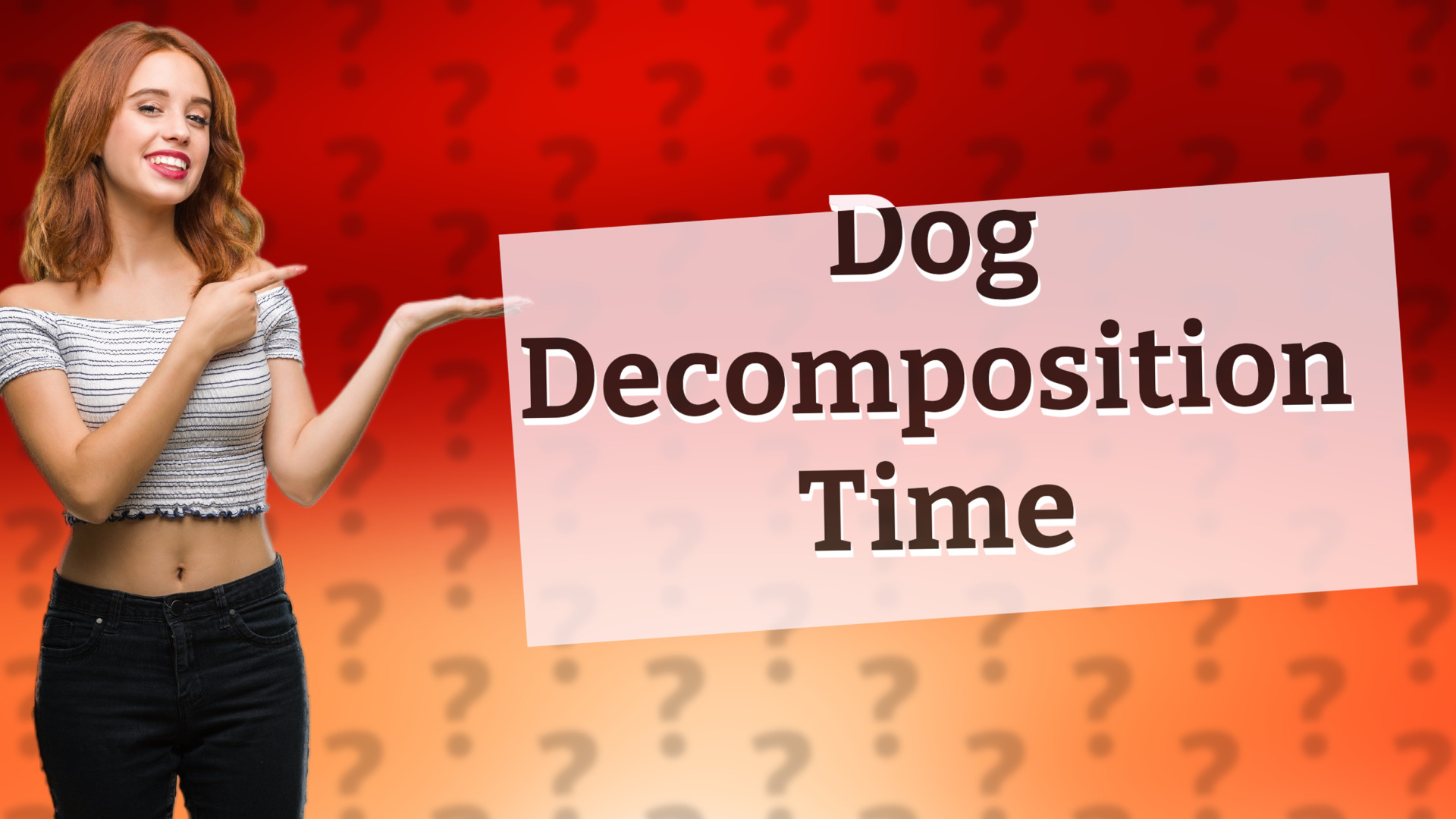 Dog Decomposition Time