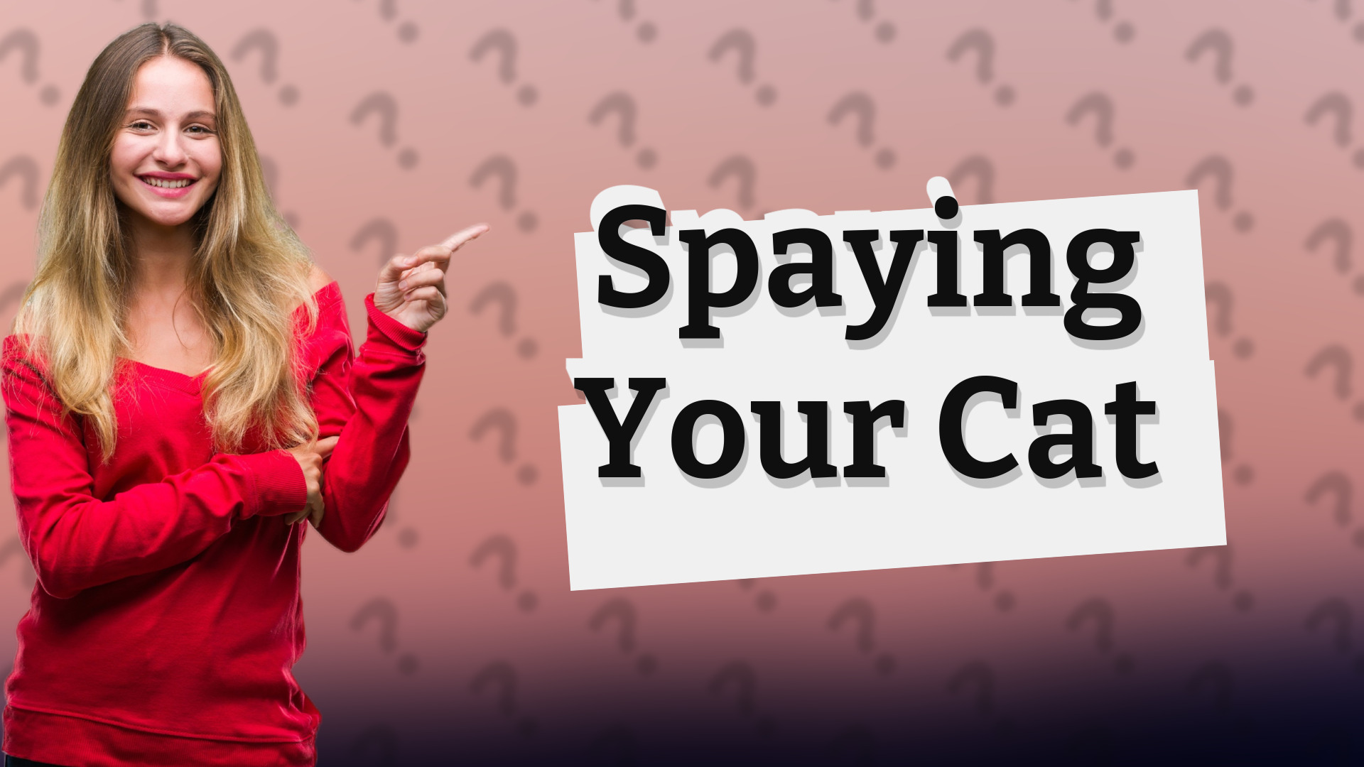 Spaying Your Cat