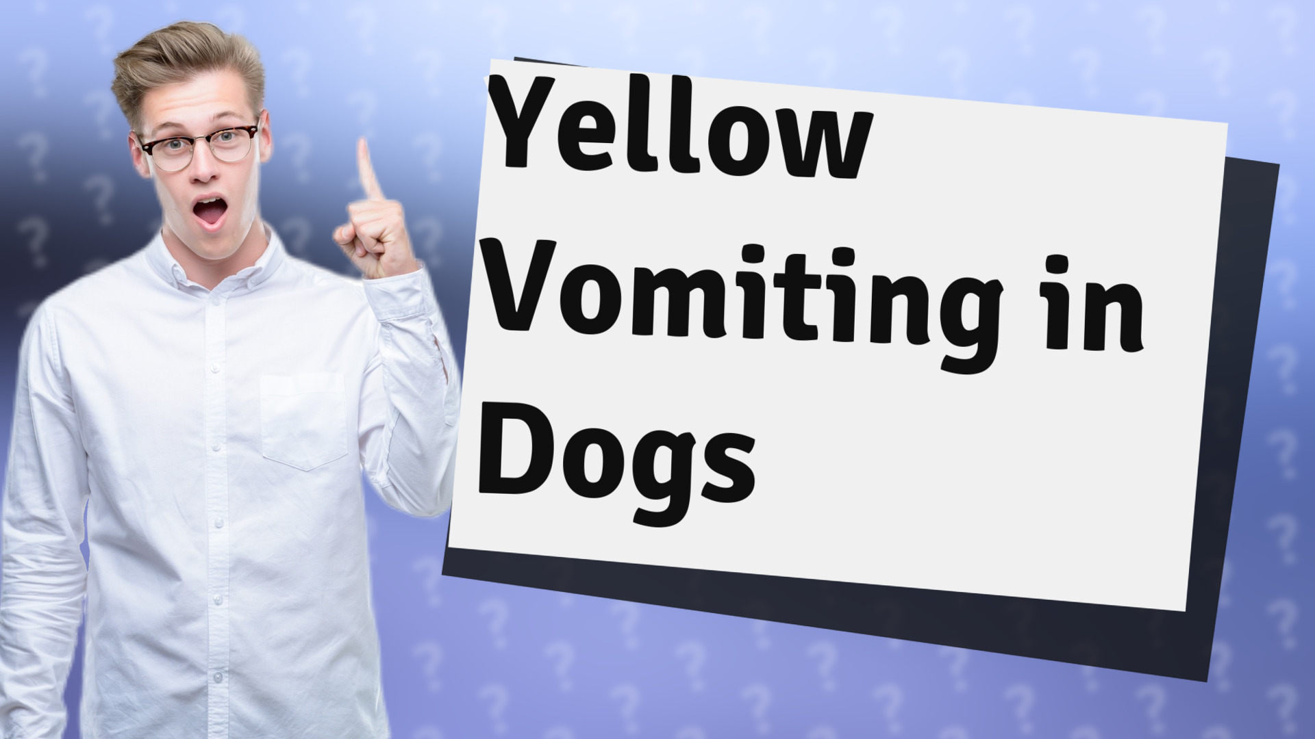 Yellow Vomiting in Dogs