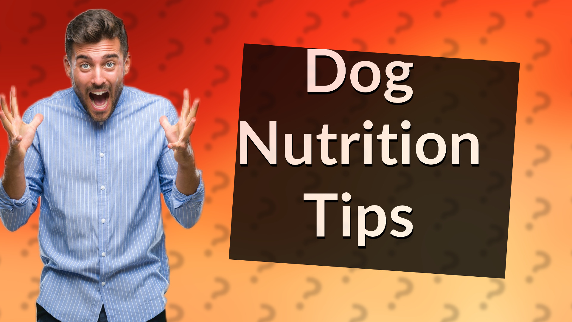 Dog Nutrition Tips
