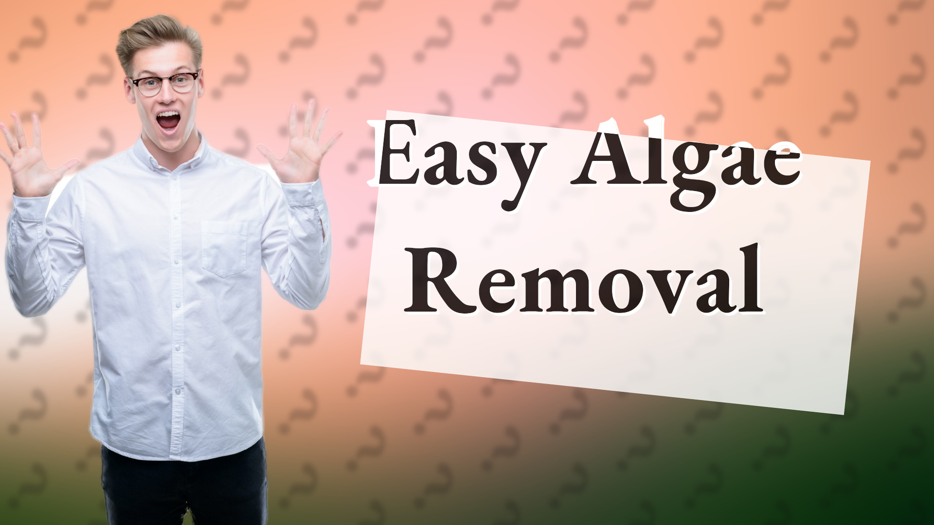 Easy Algae Removal