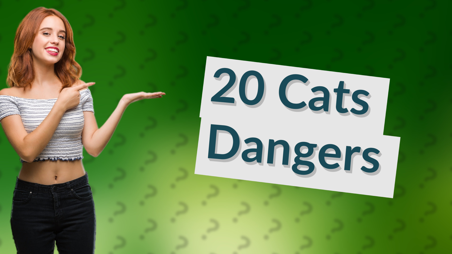 20 Cats Dangers