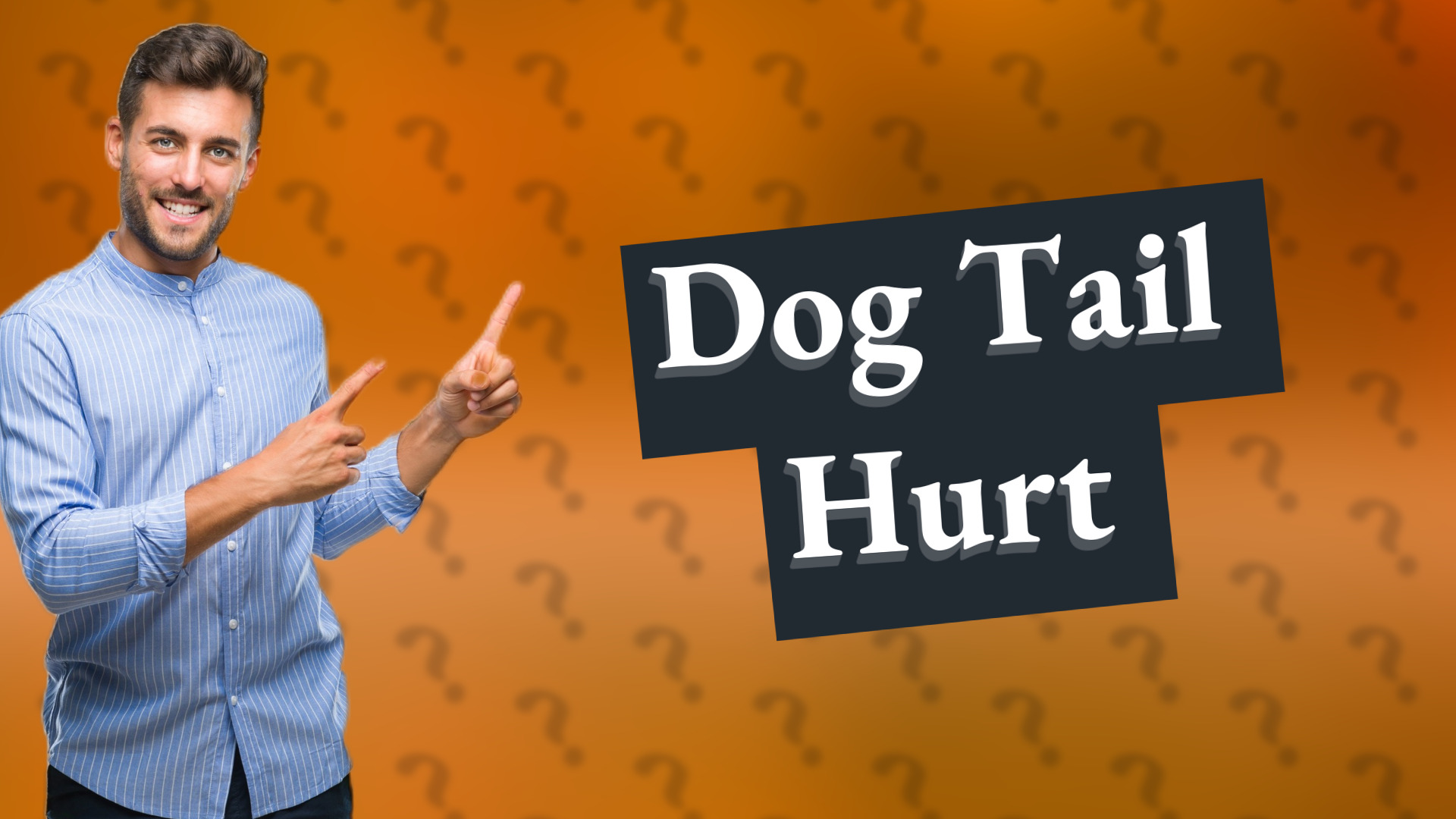 Dog Tail Hurt