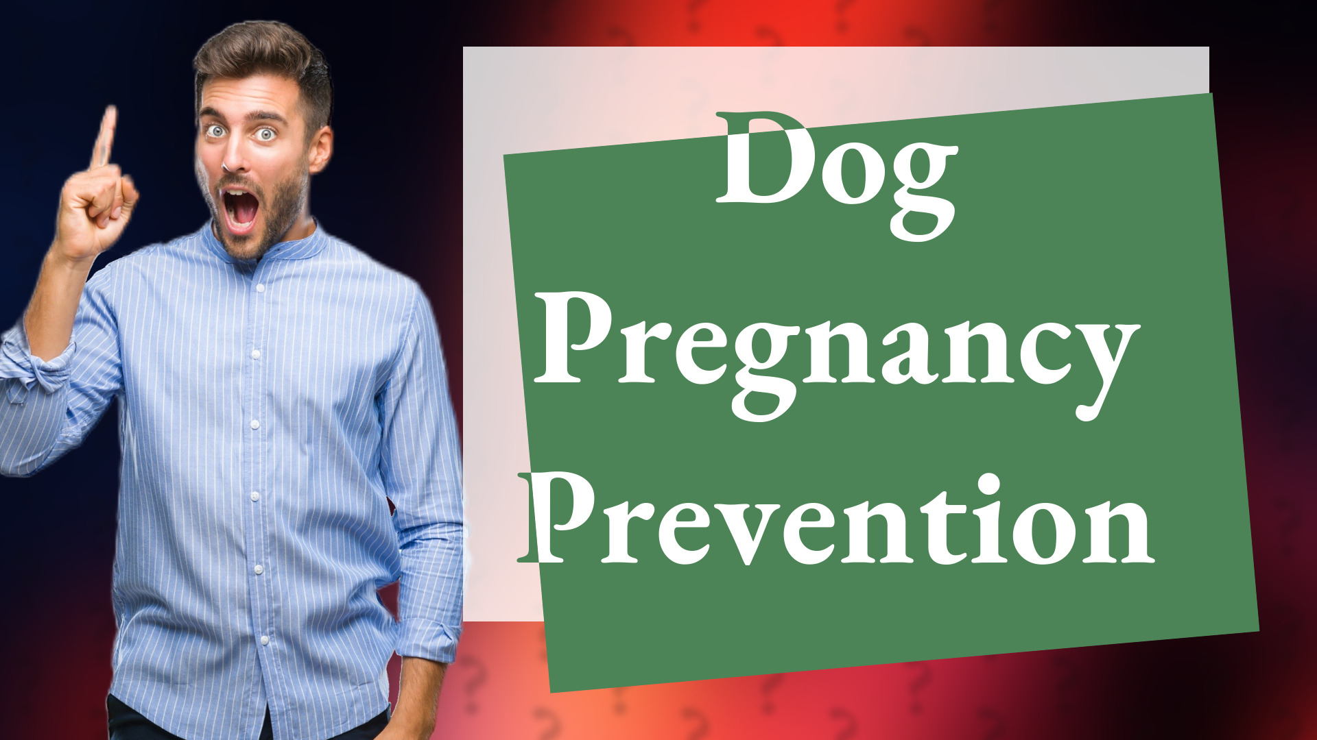 Dog Pregnancy Prevention