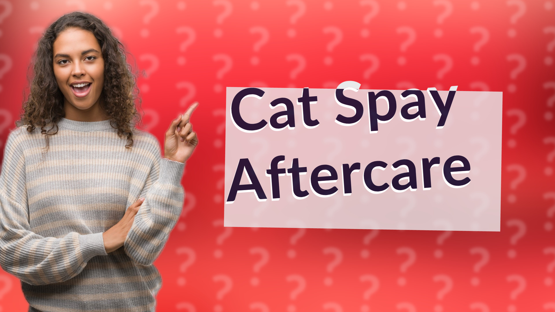 Cat Spay Aftercare
