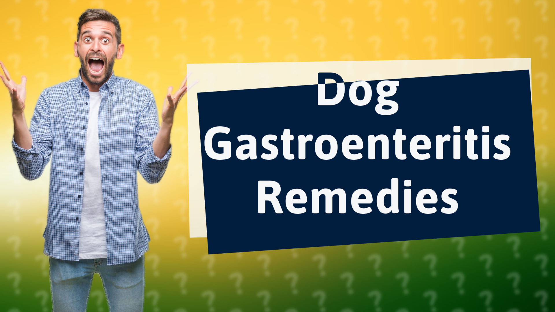 Dog Gastroenteritis Remedies
