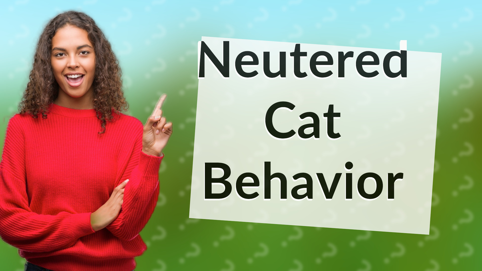 Neutered Cat Behavior