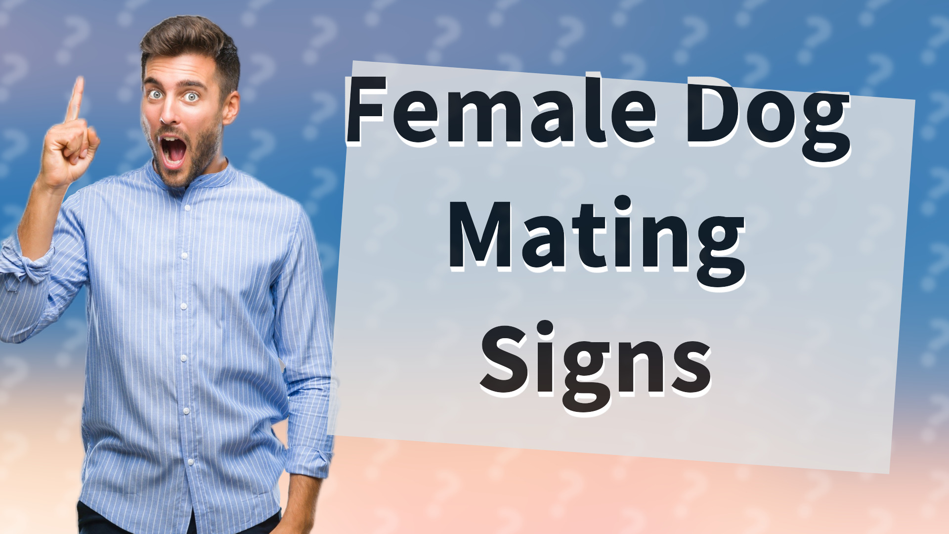 Female Dog Mating Signs