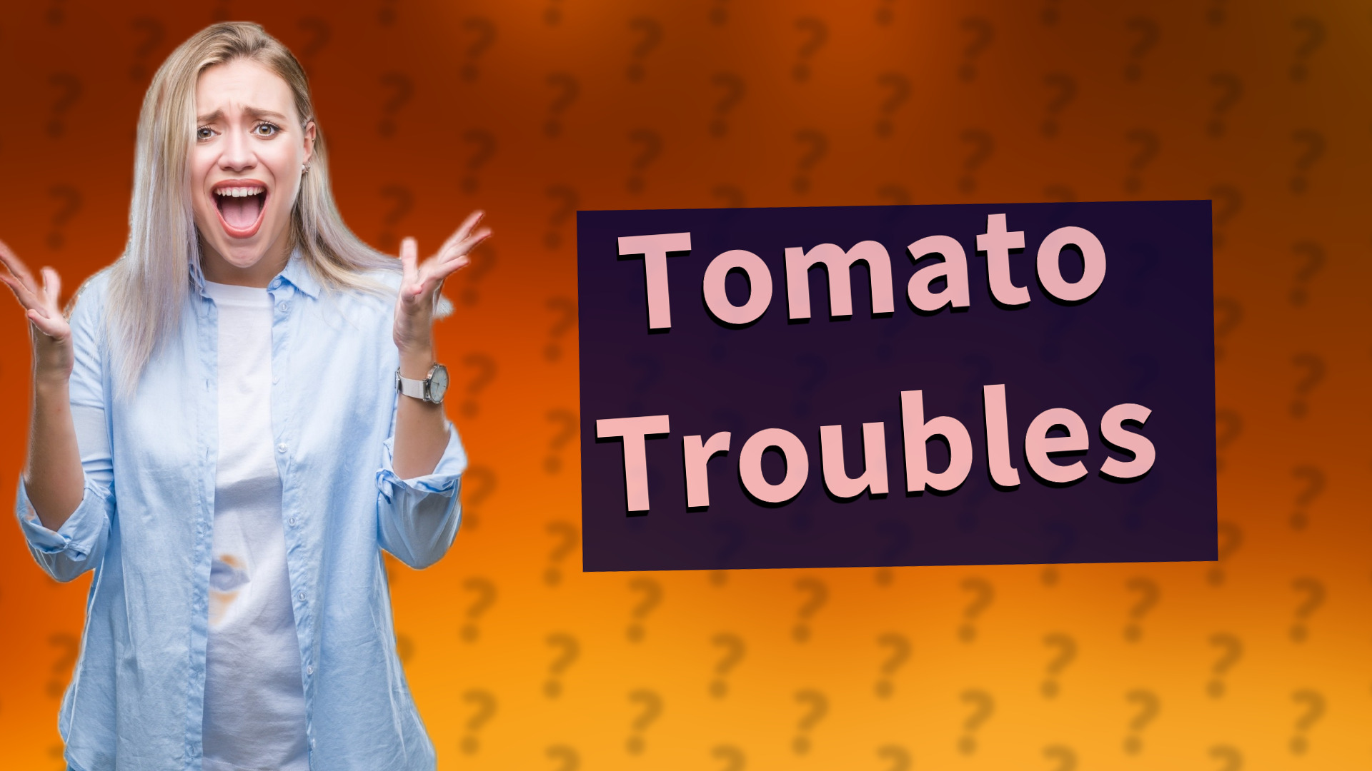 Tomato Troubles