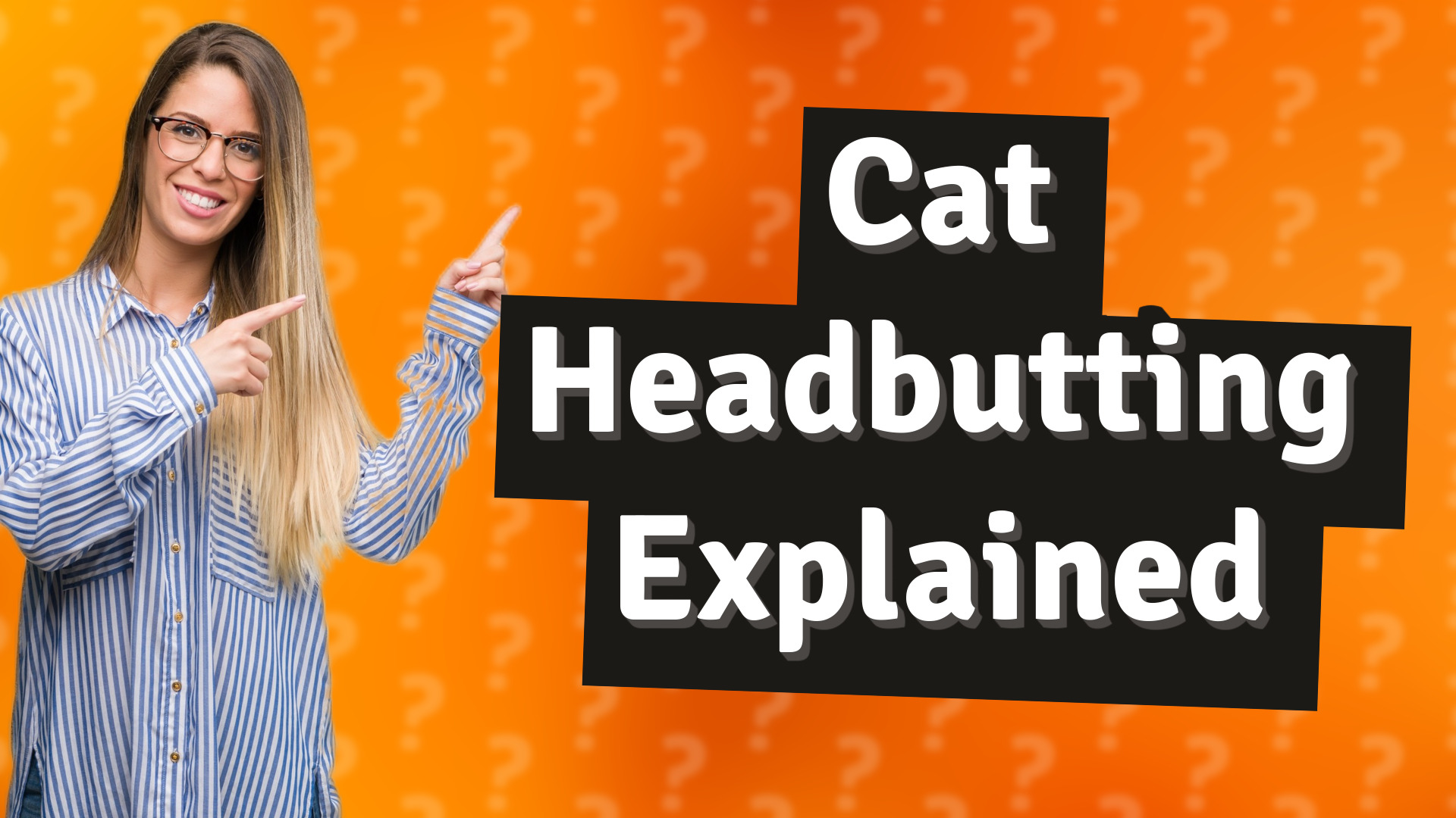 Cat Headbutting Explained