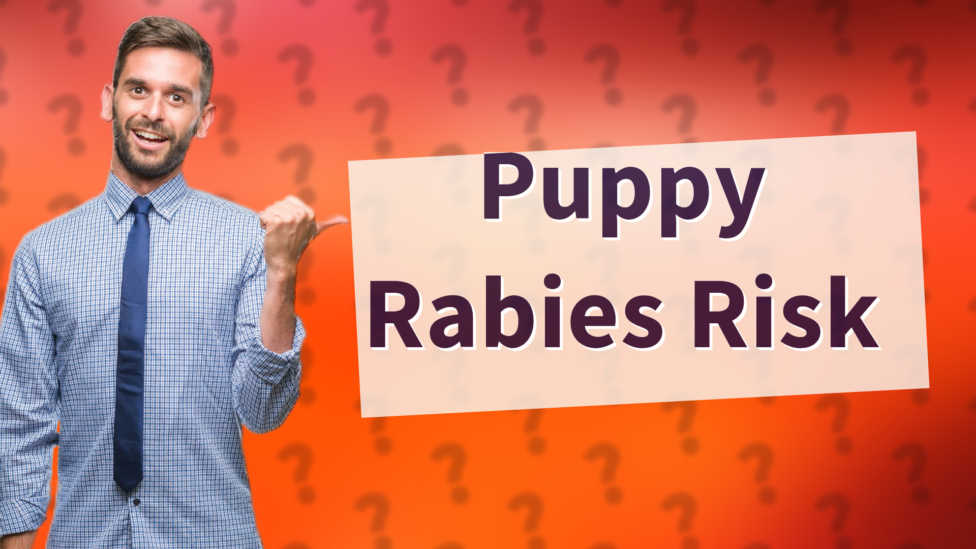 Puppy Rabies Risk