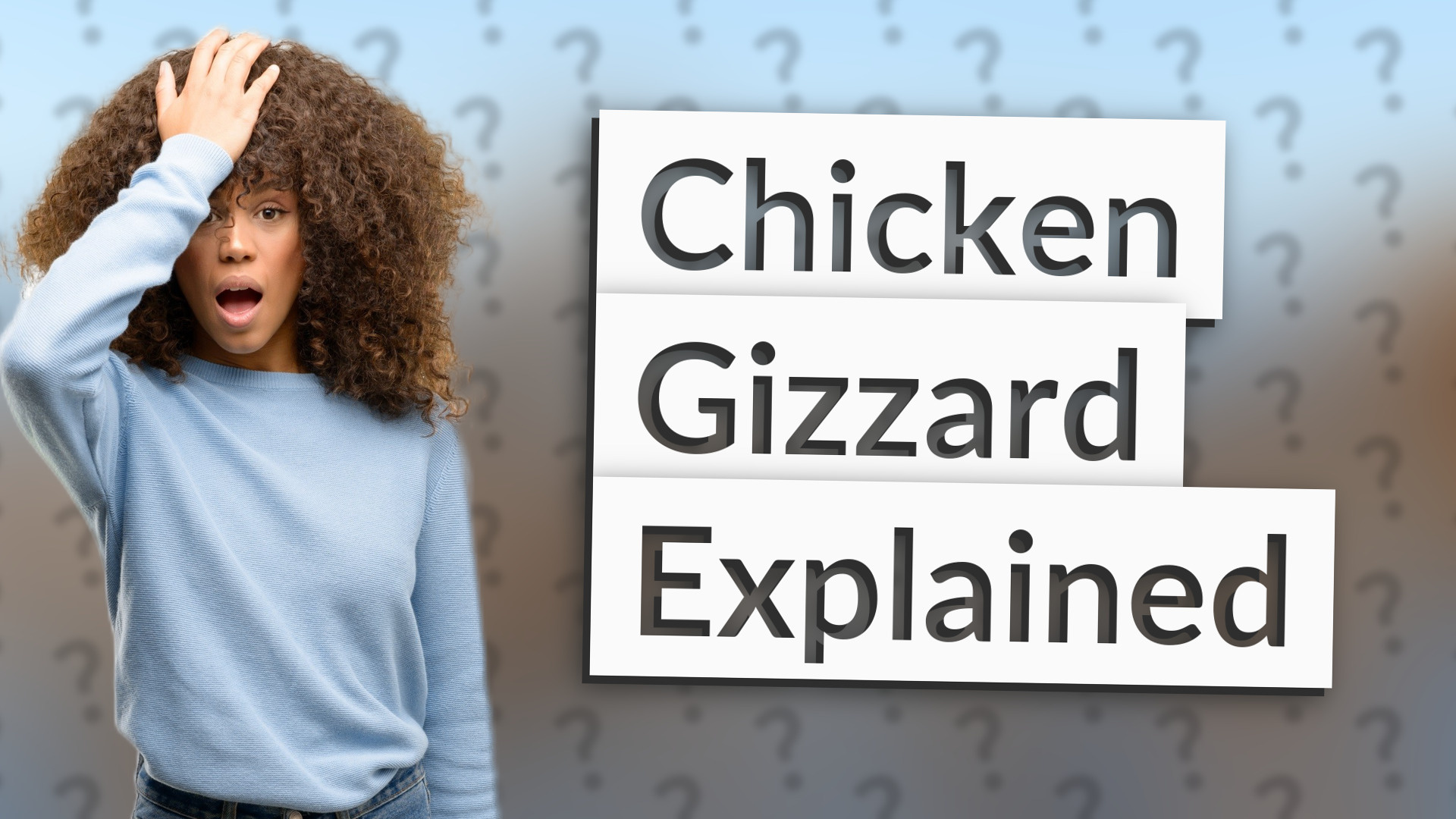 Chicken Gizzard Explained
