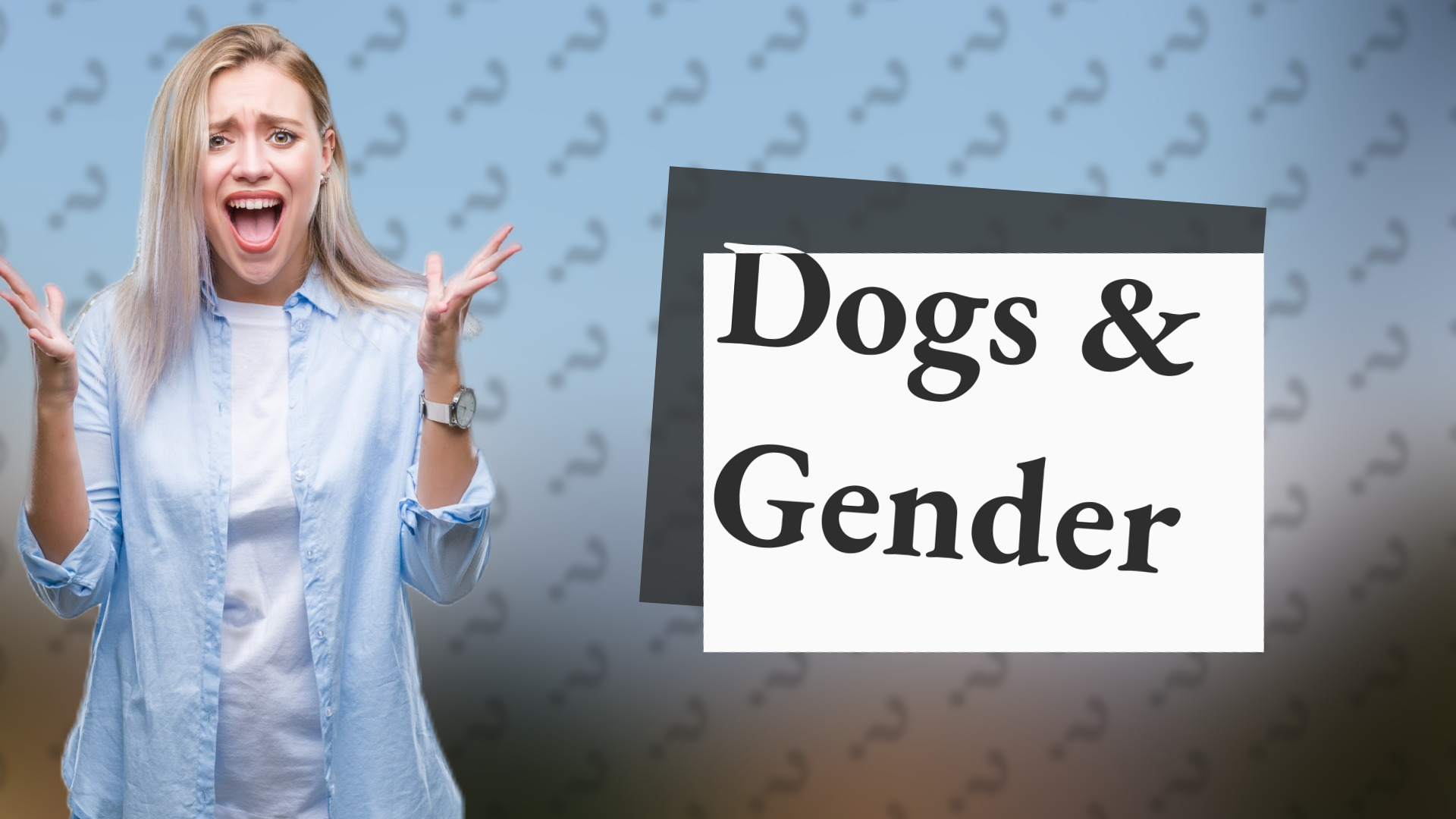 Dogs & Gender