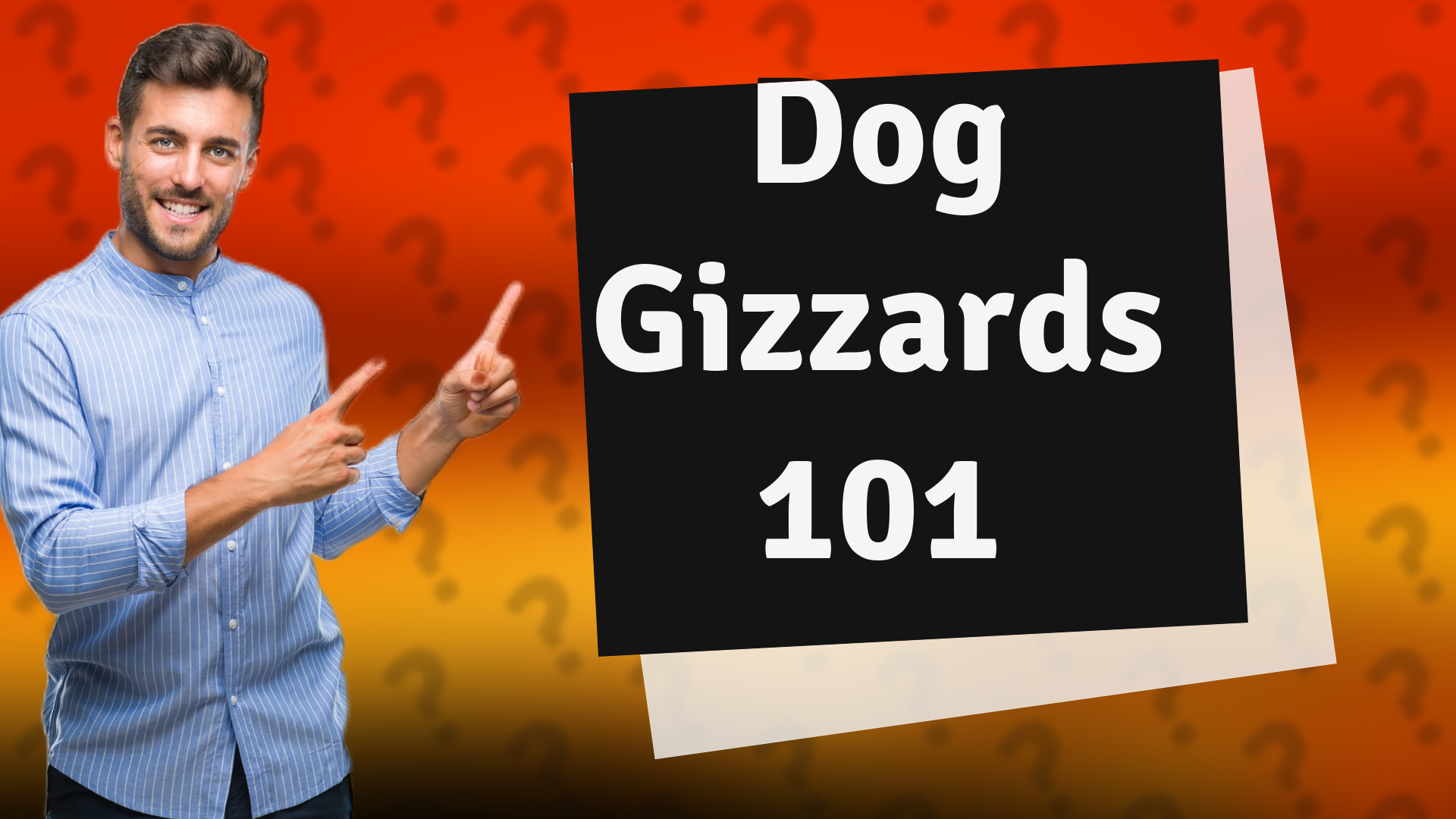 Dog Gizzards 101