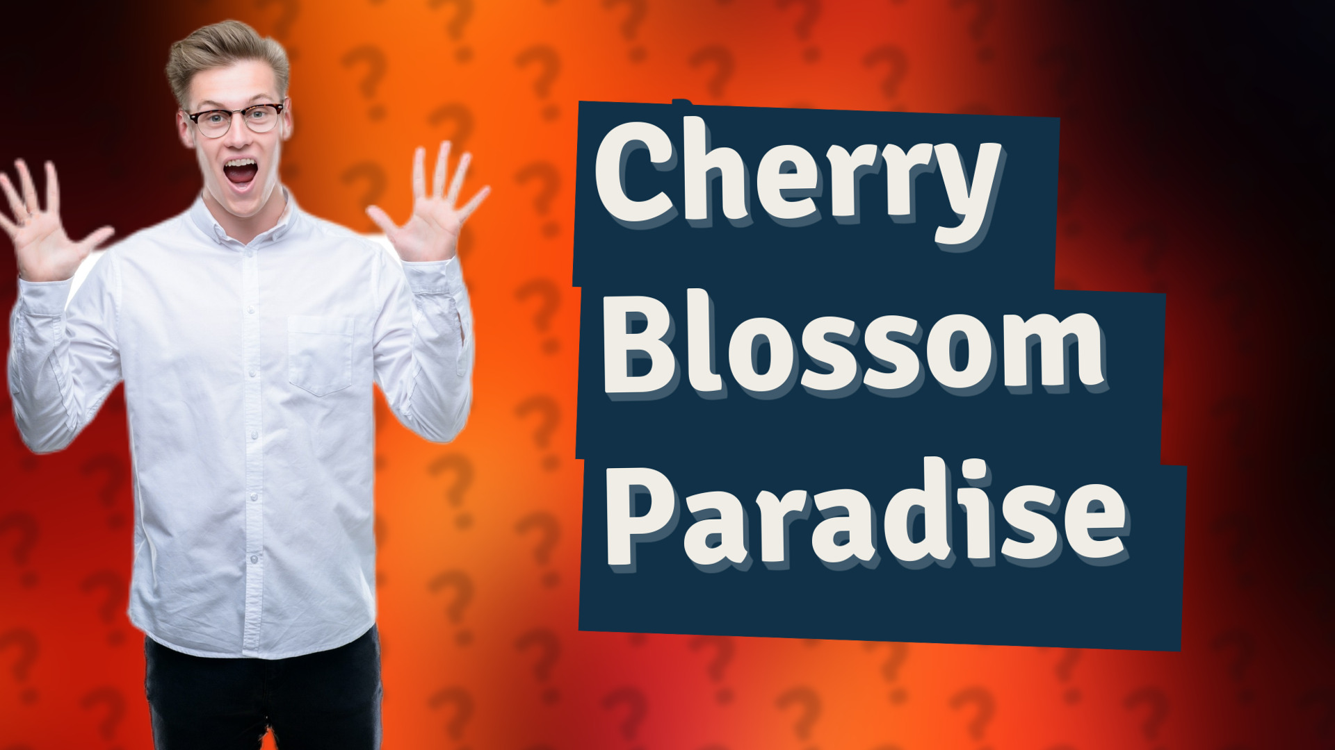 Cherry Blossom Paradise