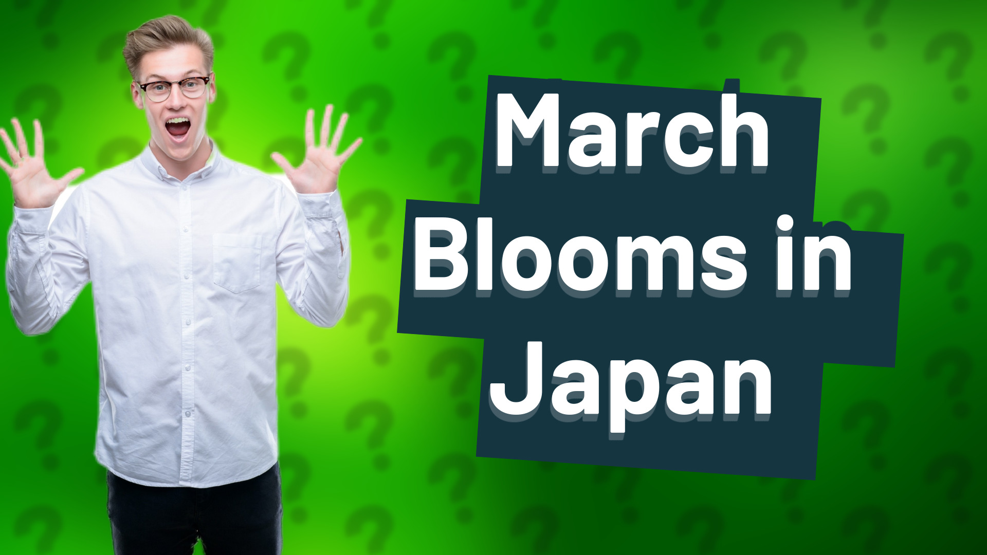 March Blooms in Japan