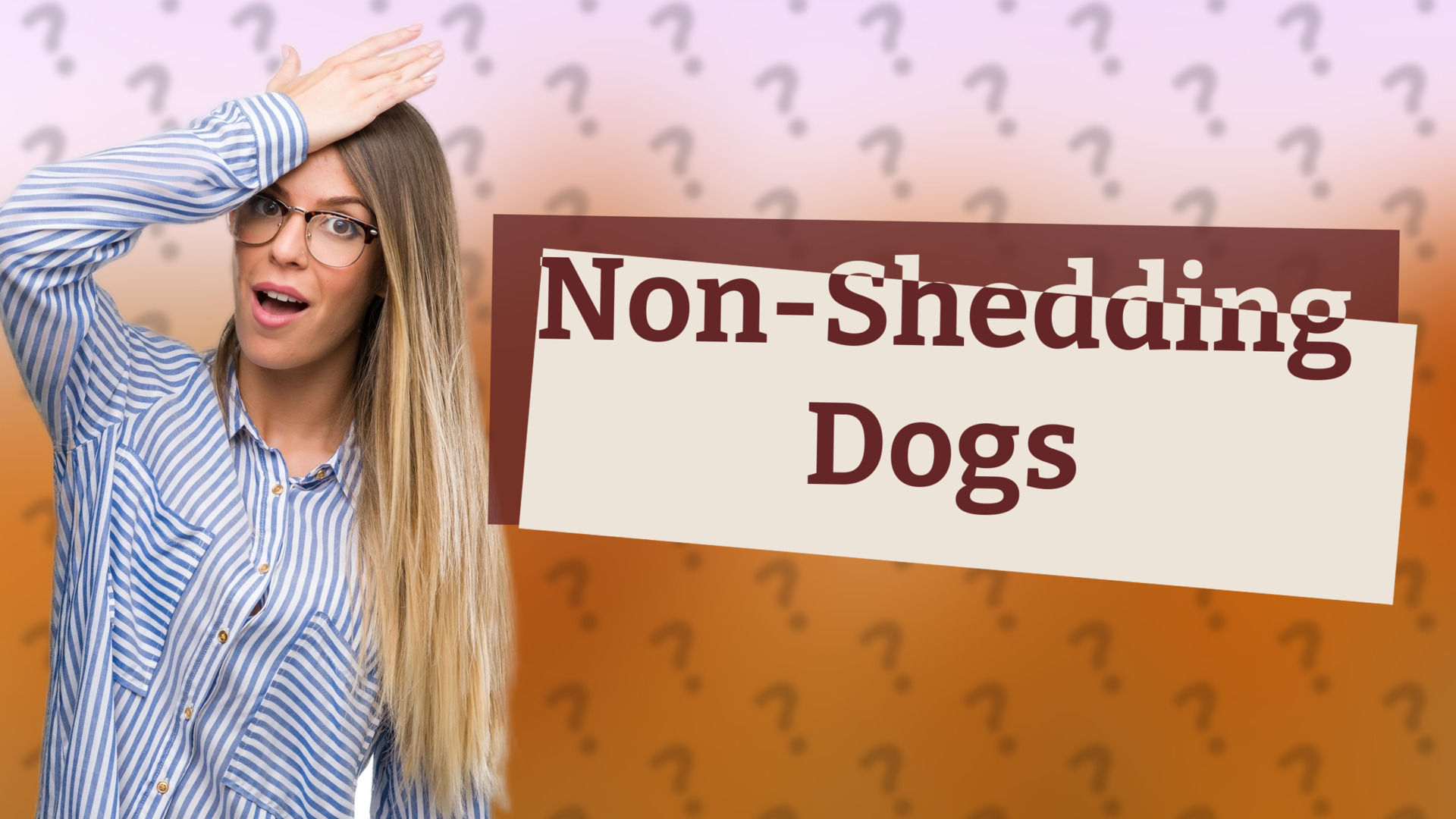 Non-Shedding Dogs