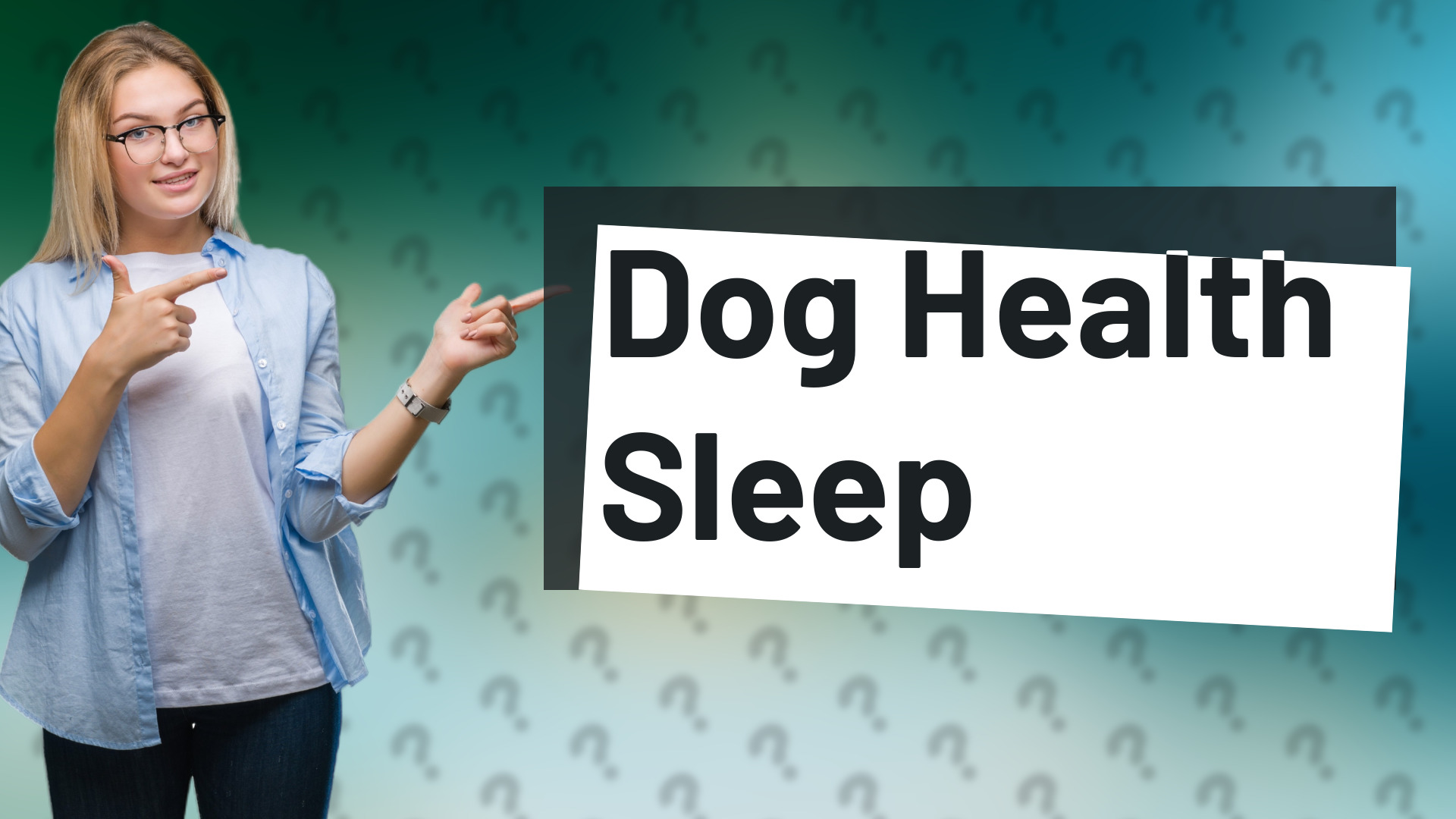 Dog Health Sleep