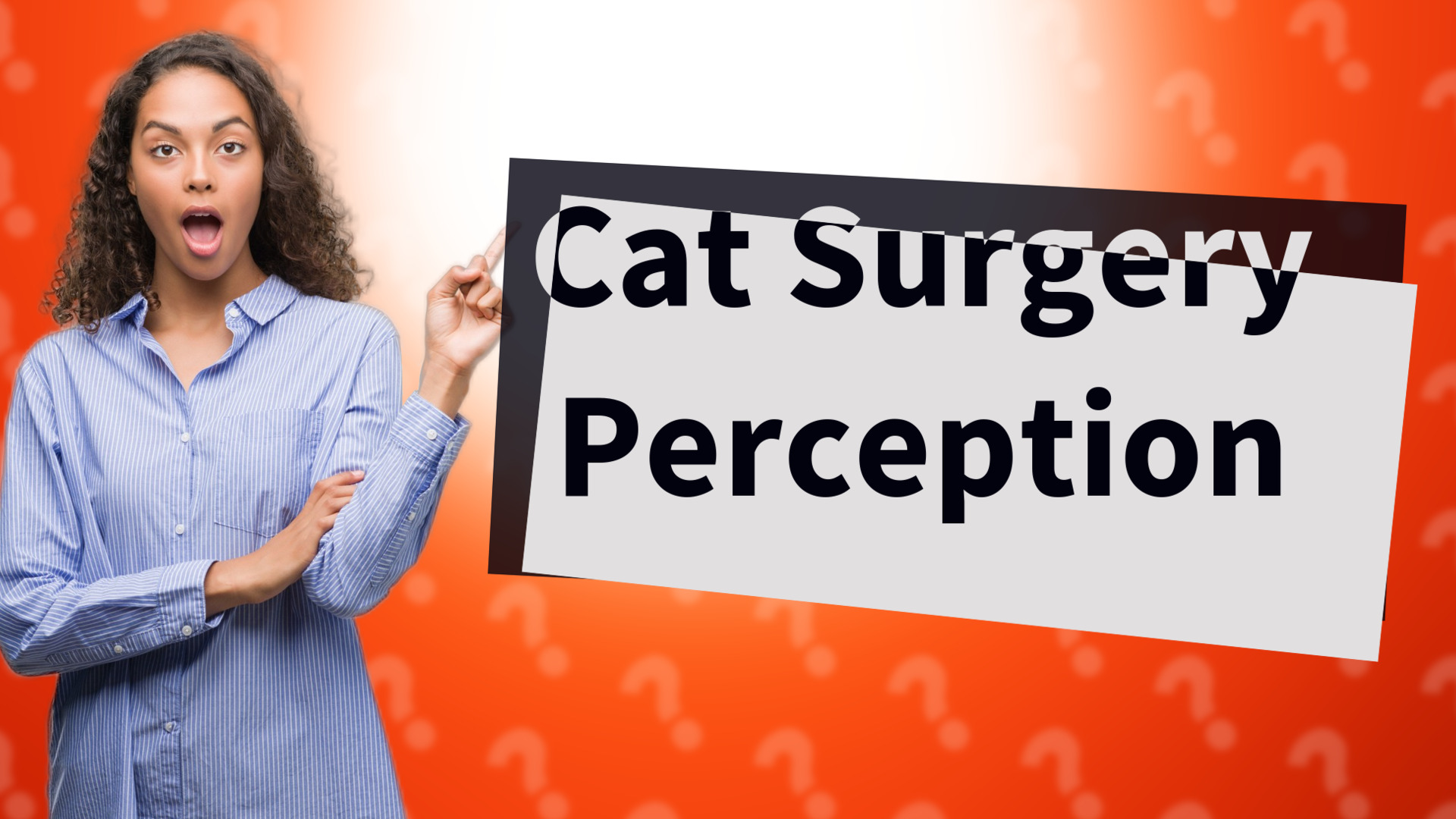 Cat Surgery Perception