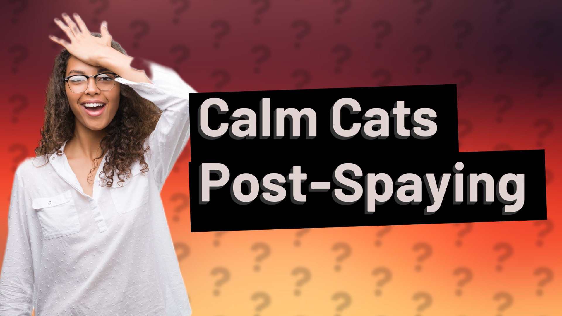 Calm Cats Post-Spaying