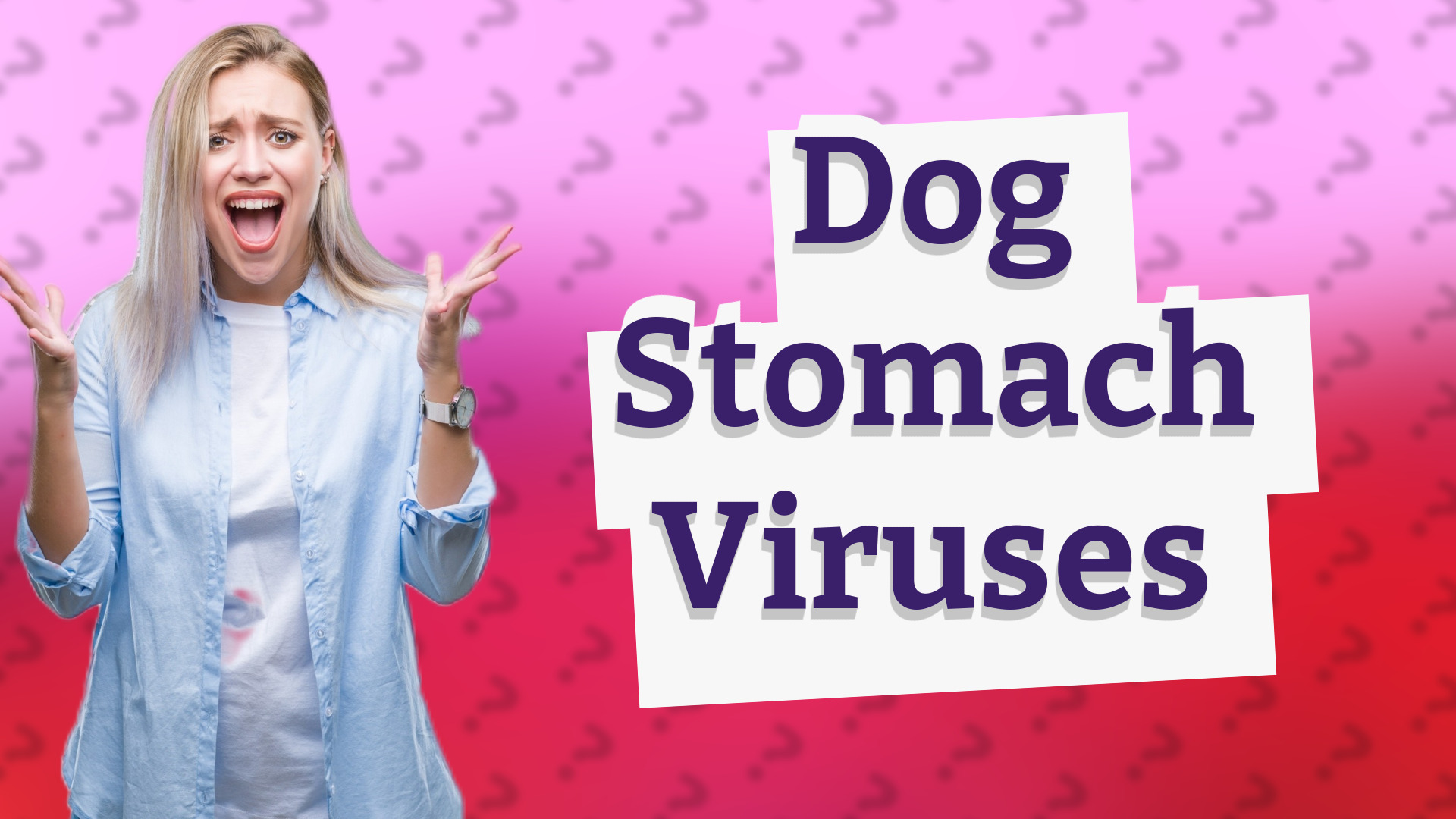 Dog Stomach Viruses