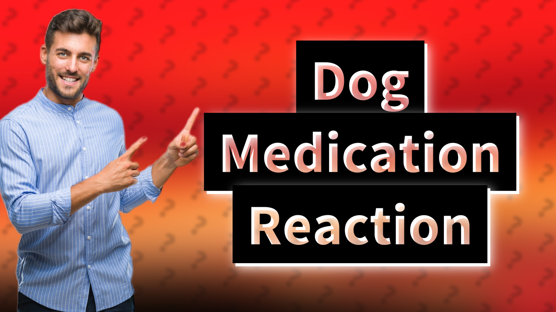 Dog Medication Reaction