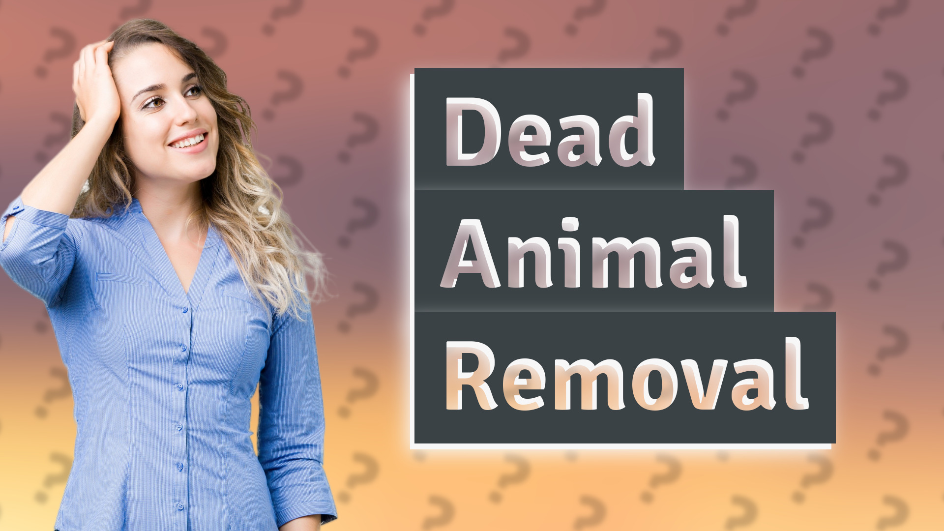 Dead Animal Removal