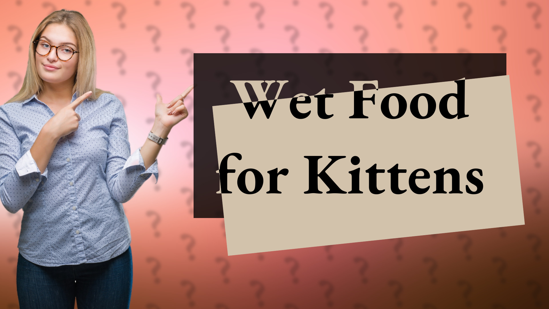 Wet Food for Kittens
