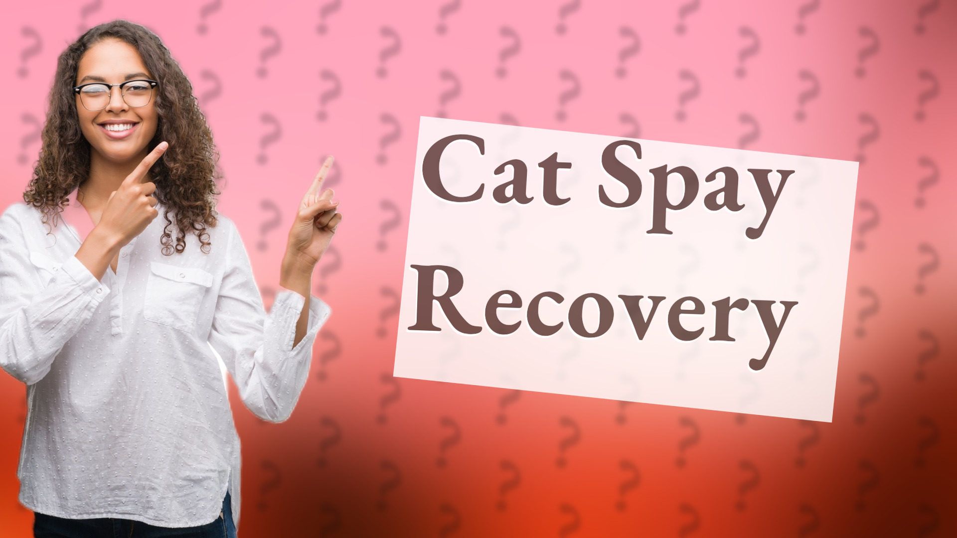 Cat Spay Recovery