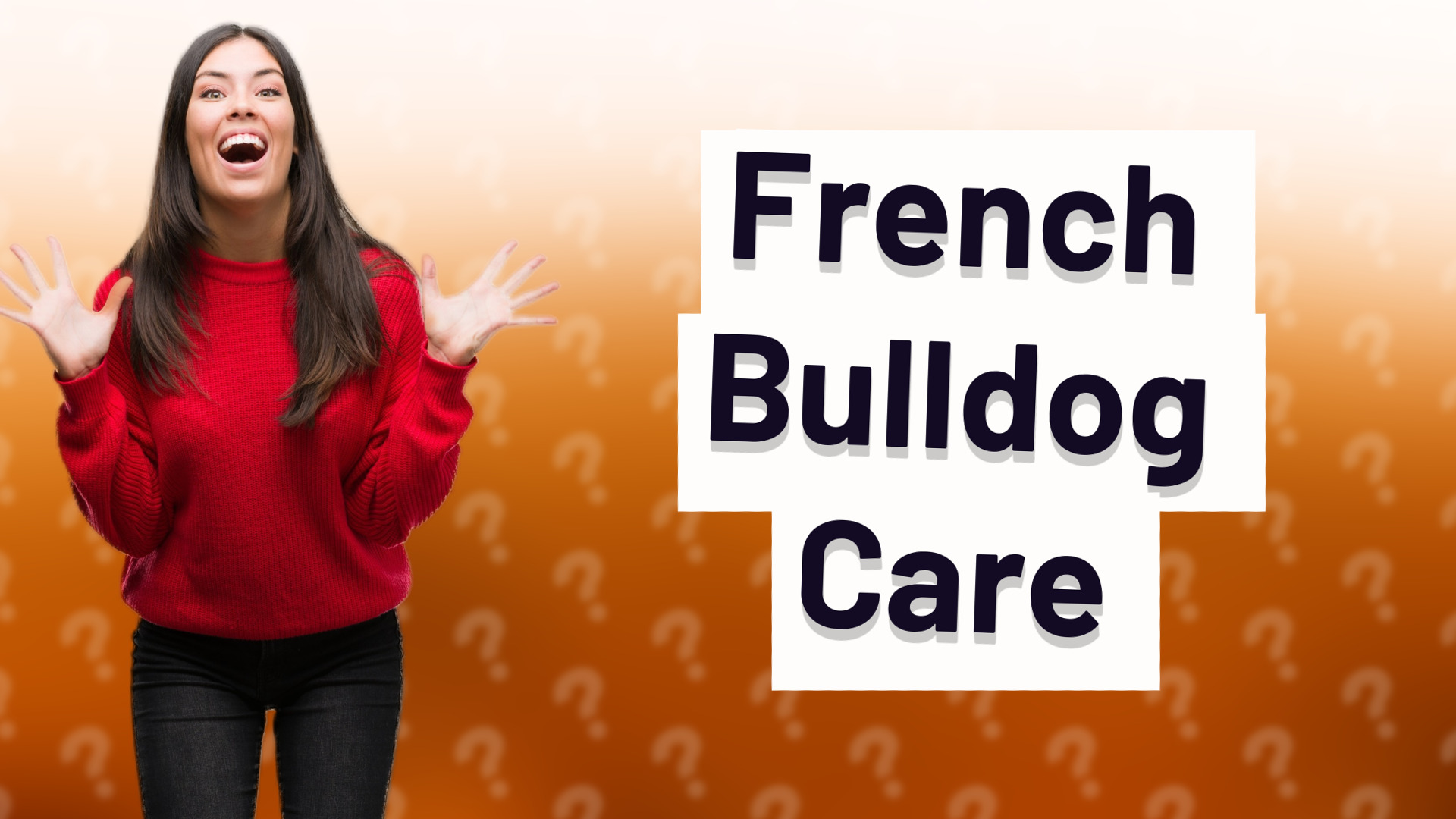 French Bulldog Care