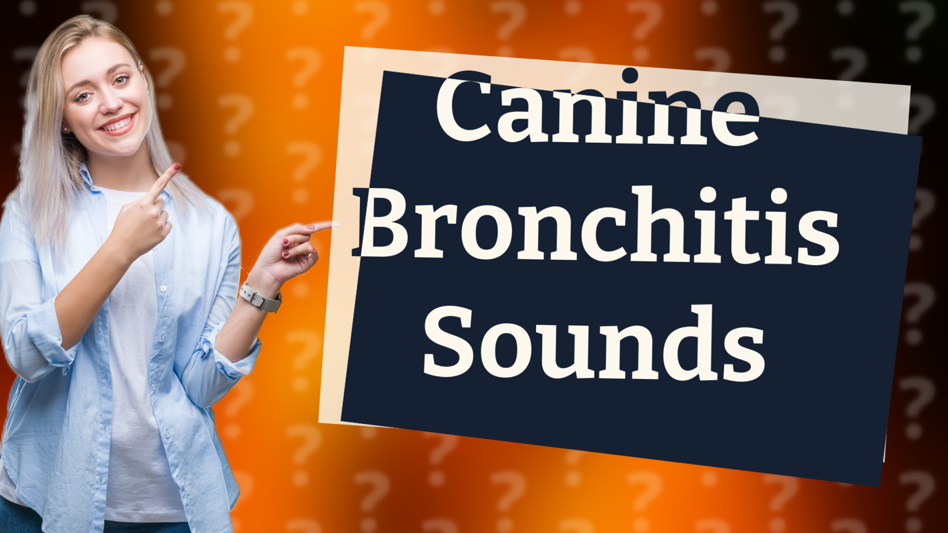 Canine Bronchitis Sounds