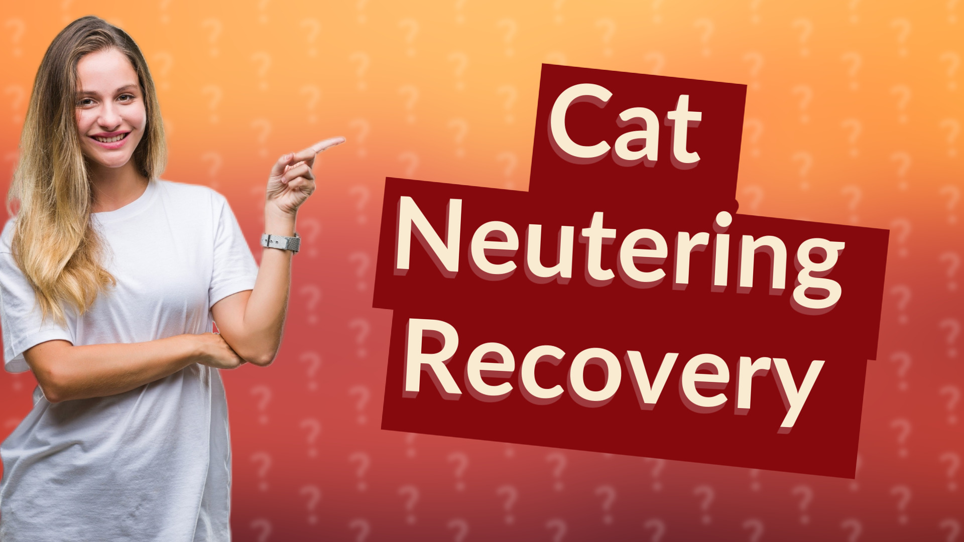 Cat Neutering Recovery