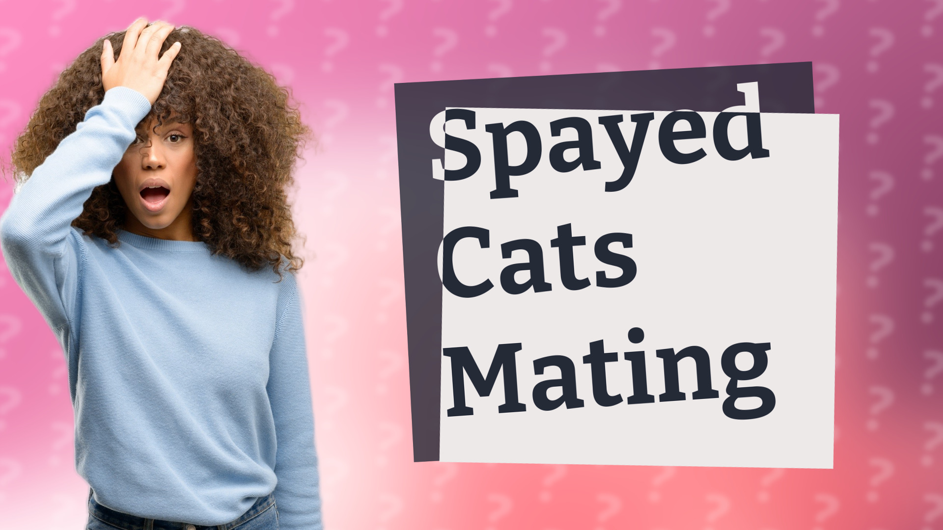 Spayed Cats Mating