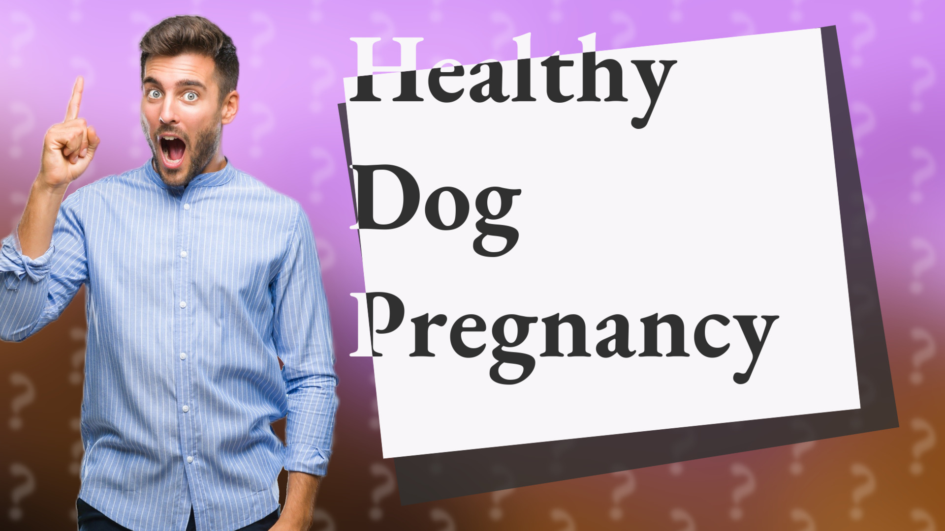 Healthy Dog Pregnancy