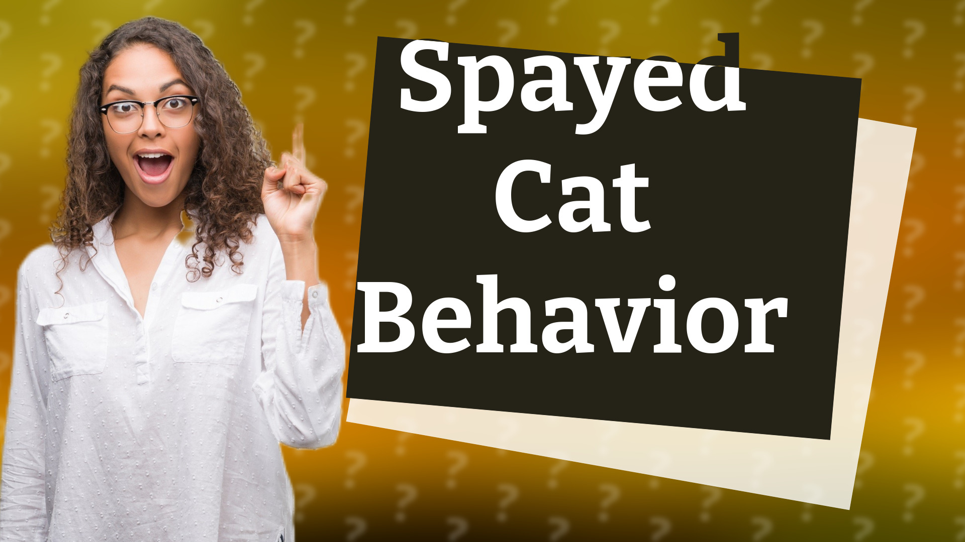 Spayed Cat Behavior