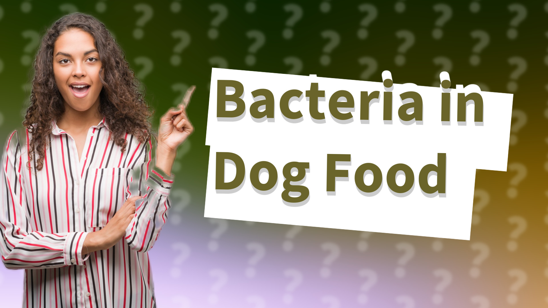 Bacteria in Dog Food