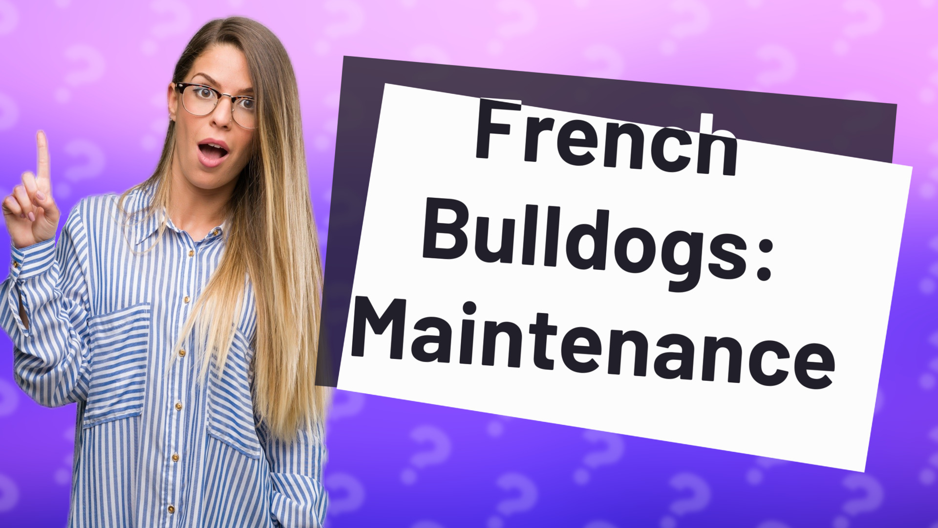 French Bulldogs: Maintenance