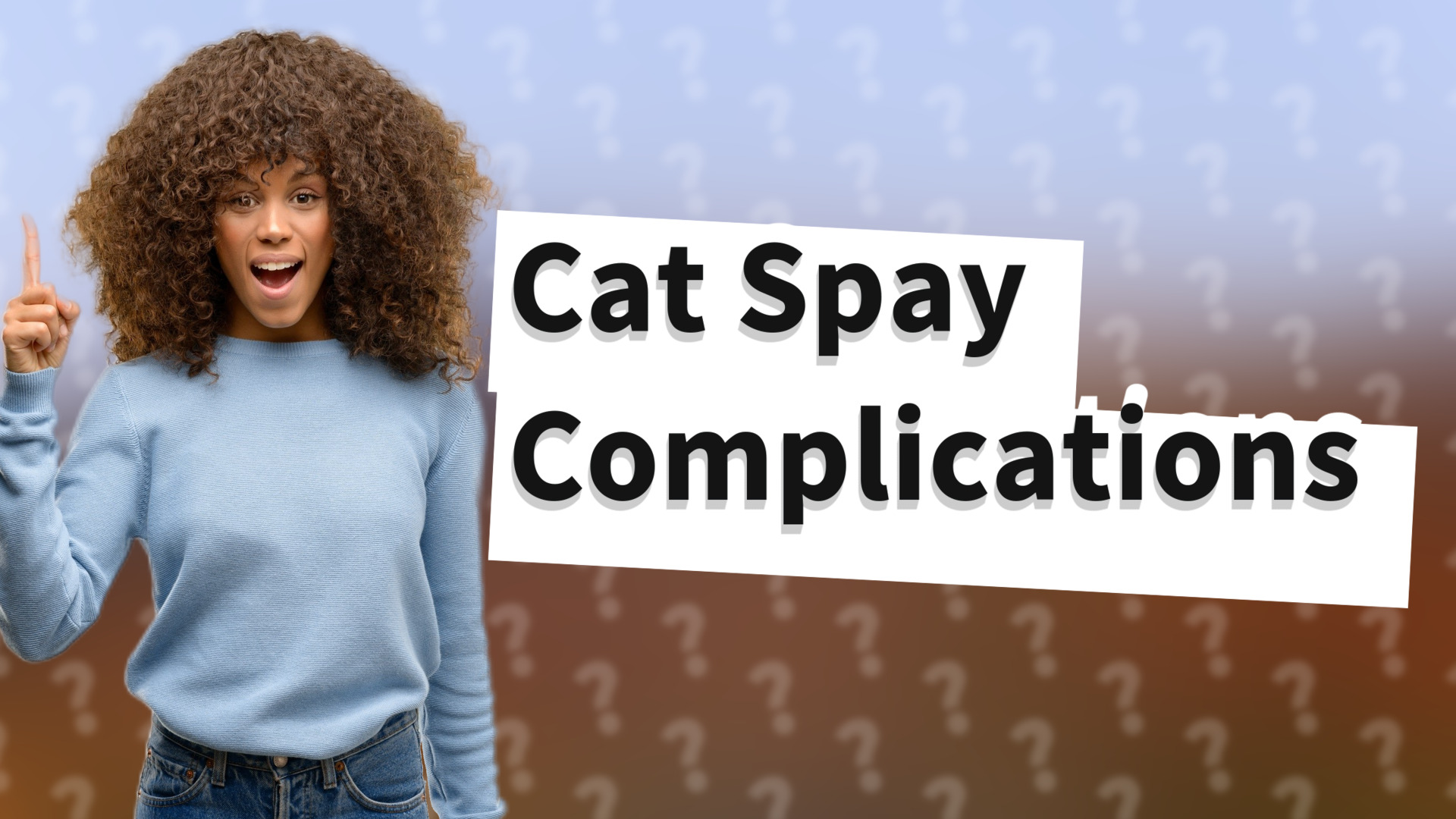 Cat Spay Complications