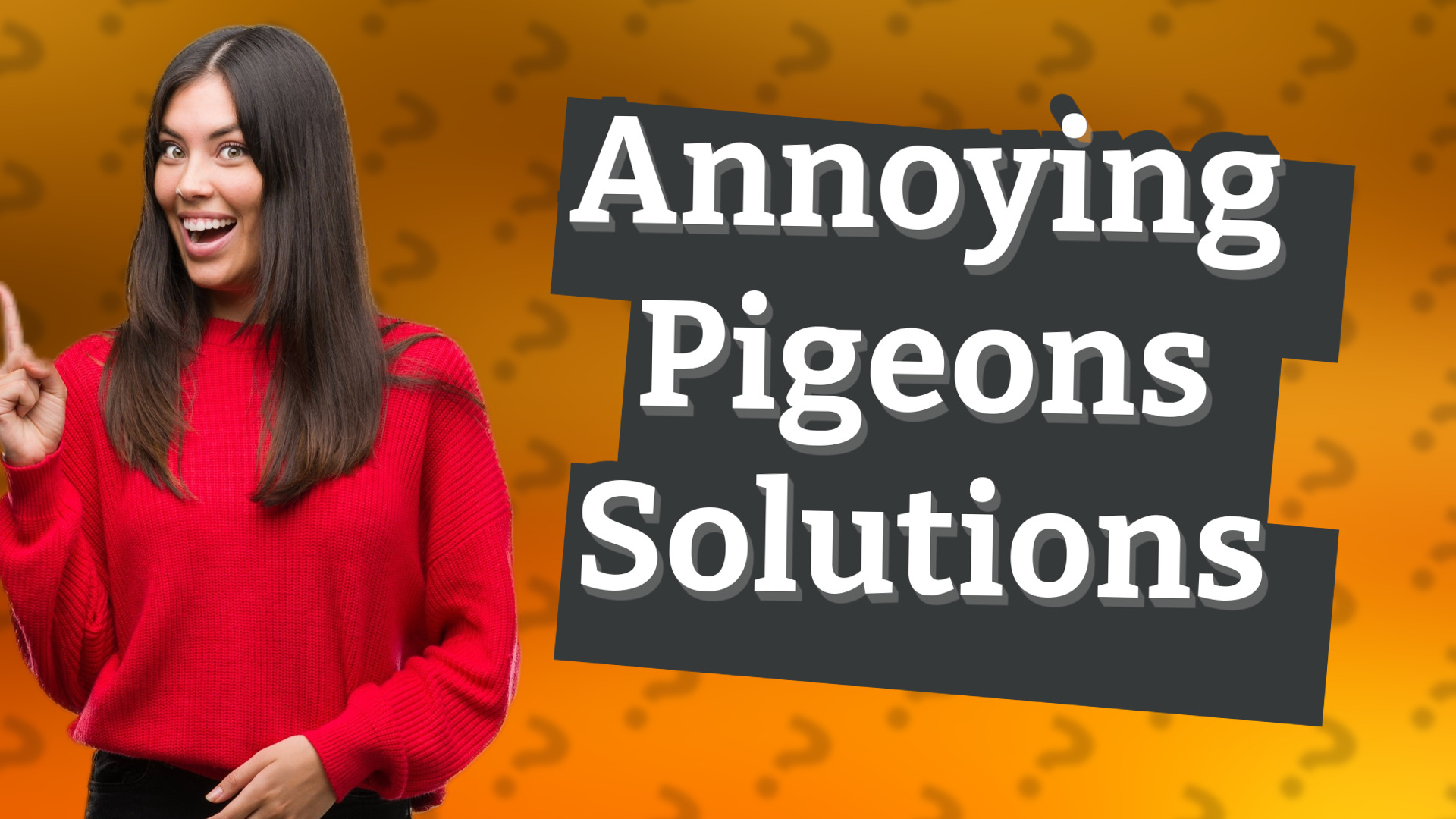 Annoying Pigeons Solutions