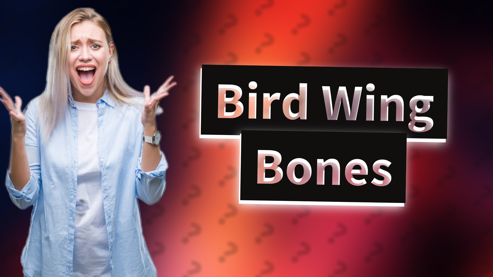 Bird Wing Bones