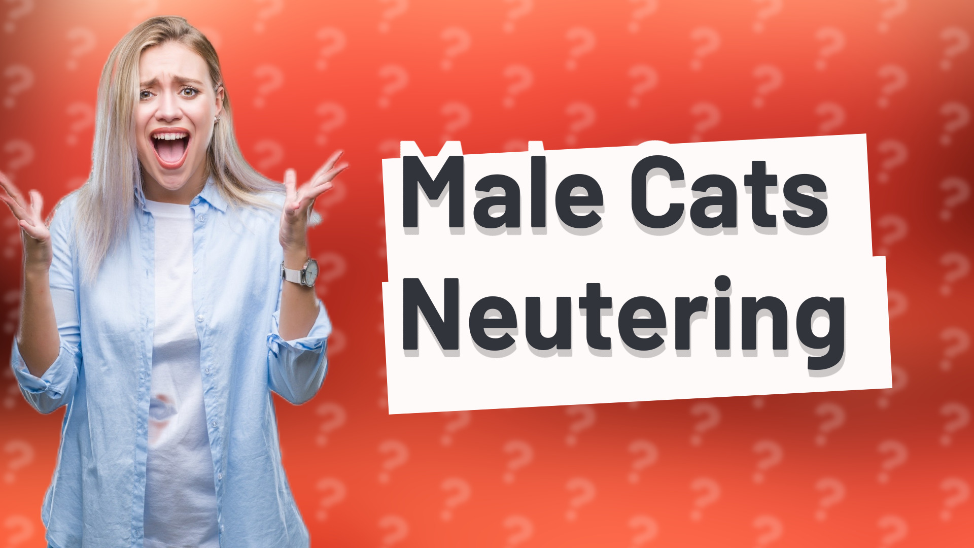 Male Cats Neutering