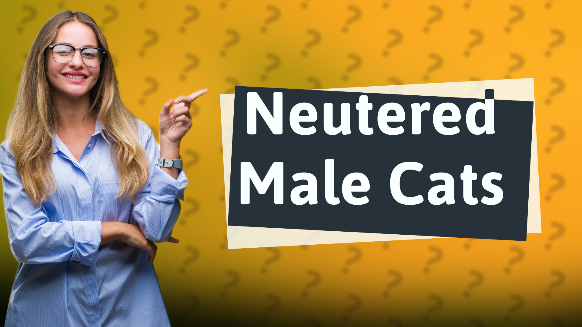 Neutered Male Cats