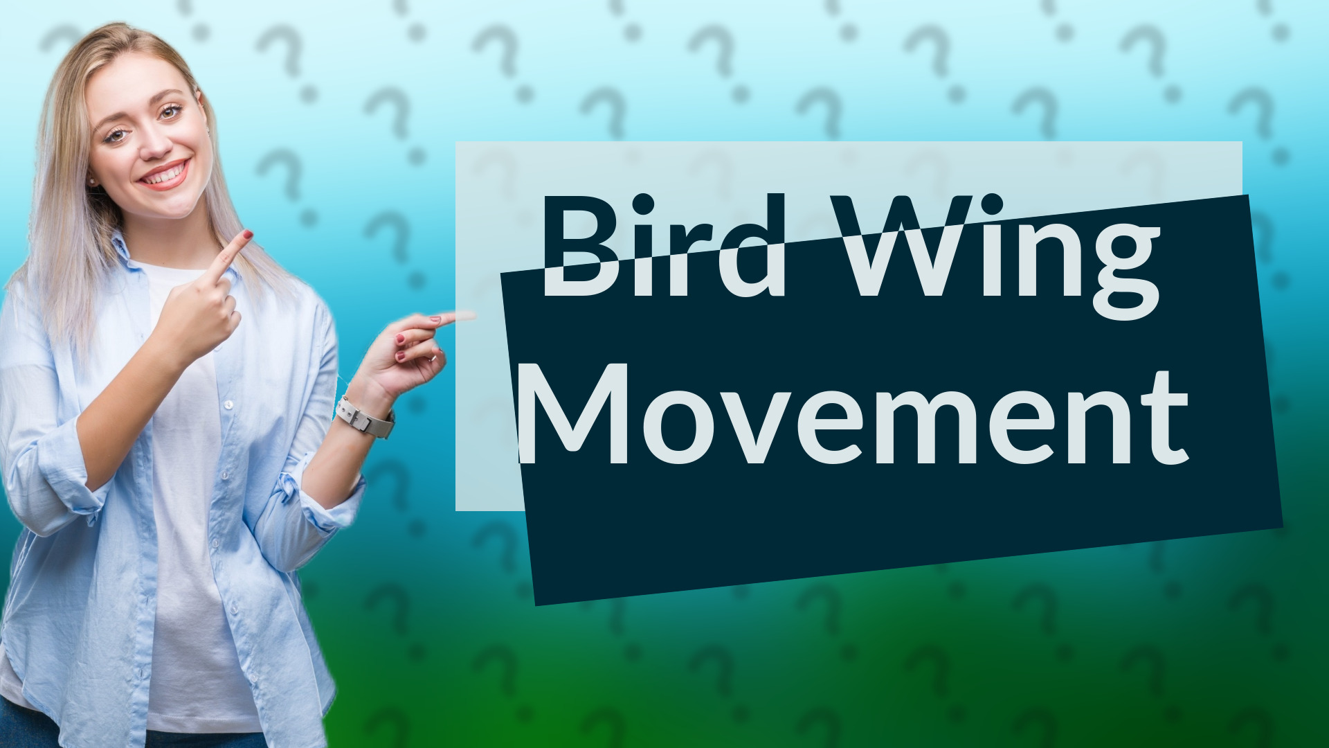 Bird Wing Movement