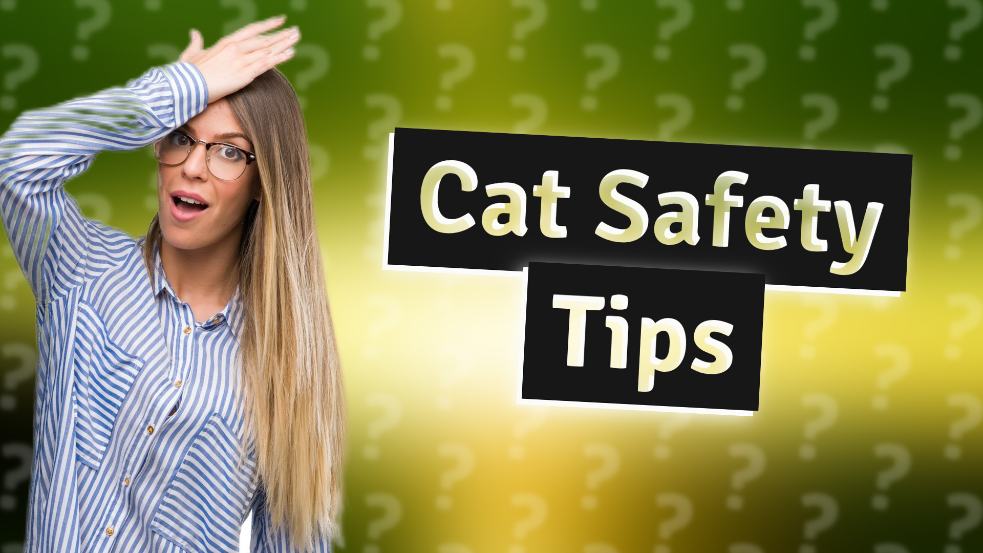 Cat Safety Tips