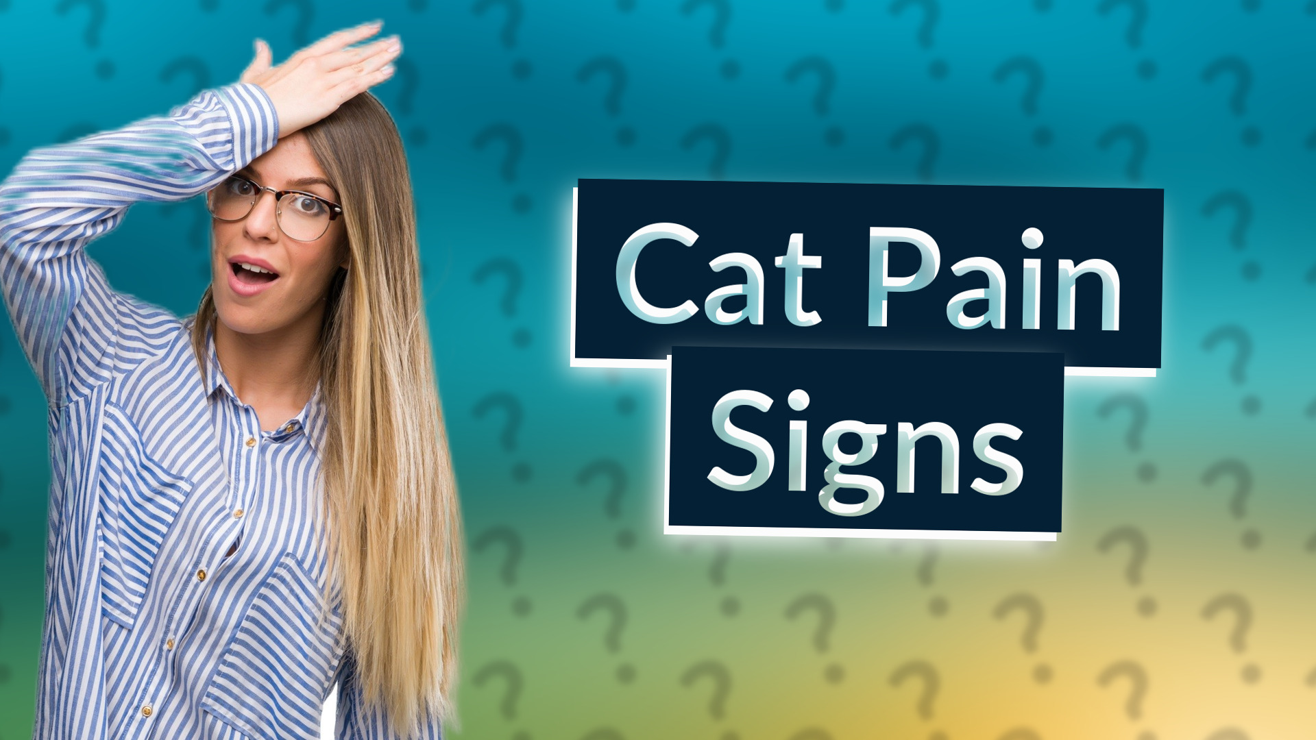 Cat Pain Signs