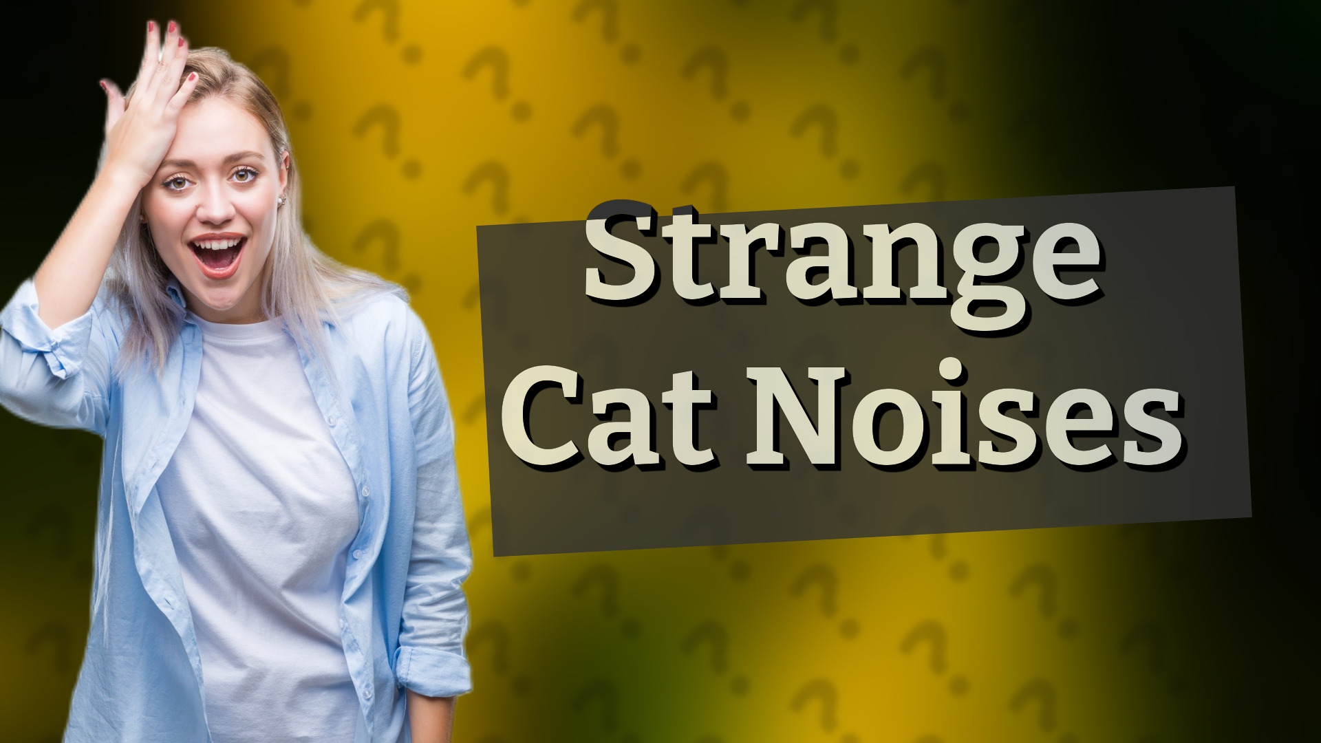 Strange Cat Noises
