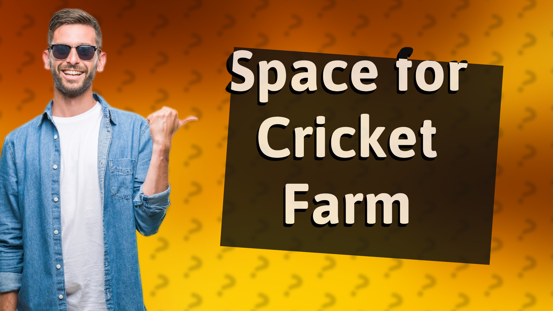 Space for Cricket Farm