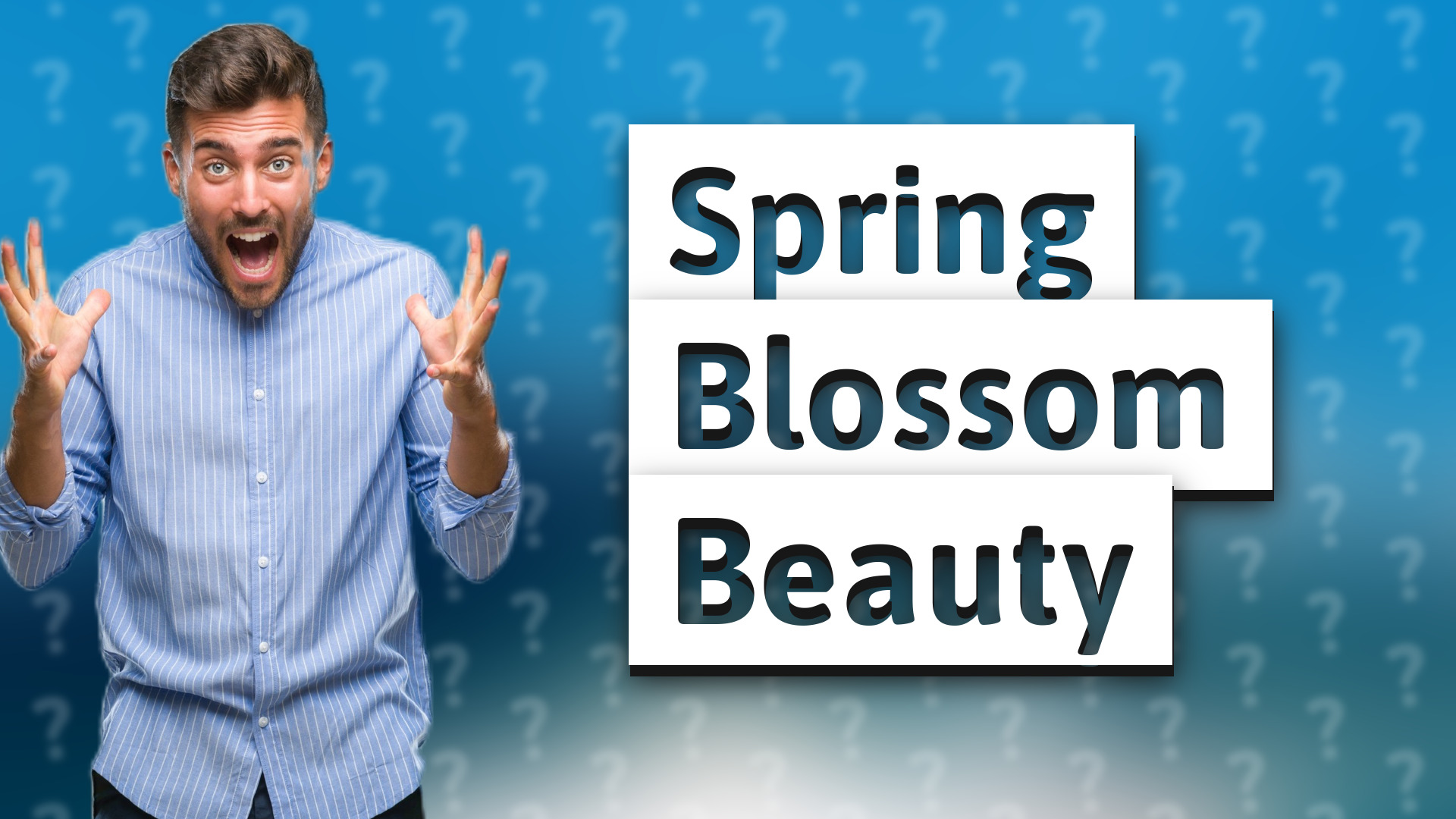 Spring Blossom Beauty