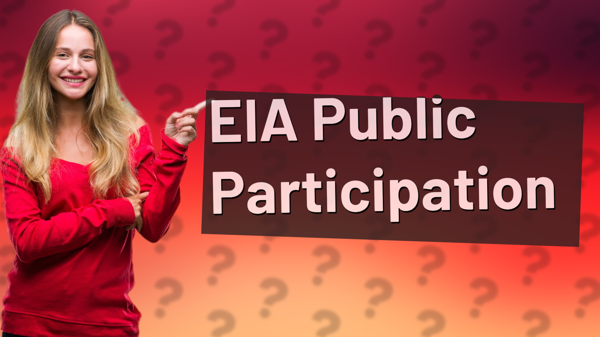 EIA Public Participation